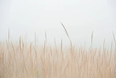 Waarom natuurlijk wasmiddel vanaf de eerste babywas aanbevolen is